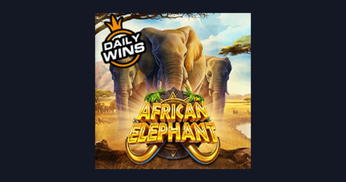 Tips Pola Maxwin Bermain African Elephant dari Pragmatic Play